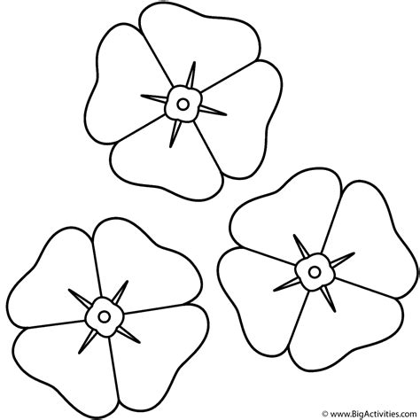 anzac day poppies colouring pages